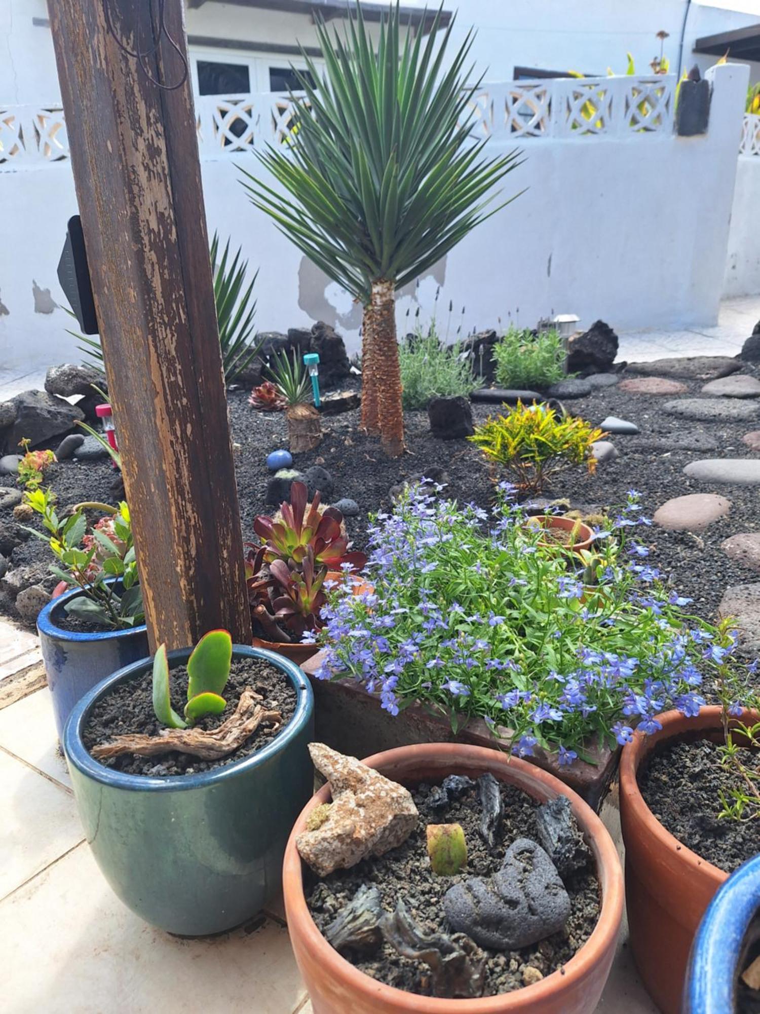 Casita Pequena Lanzarote Vila Teguise  Exterior foto